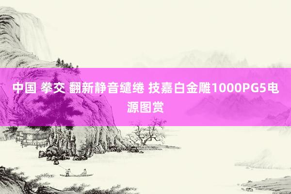 中国 拳交 翻新静音缱绻 技嘉白金雕1000PG5电源图赏