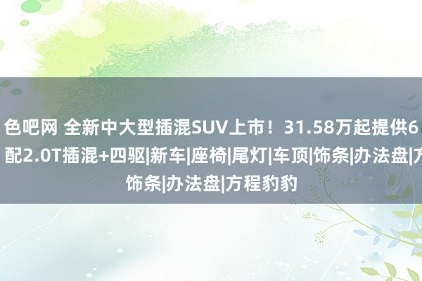 色吧网 全新中大型插混SUV上市！31.58万起提供6、7座，配2.0T插混+四驱|新车|座椅|尾灯|车顶|饰条|办法盘|方程豹豹