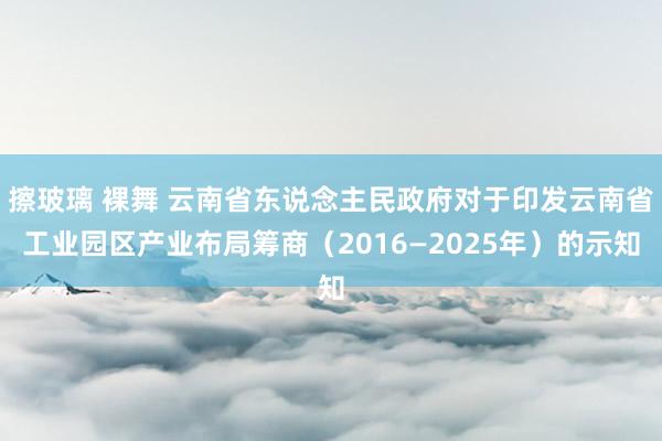 擦玻璃 裸舞 云南省东说念主民政府对于印发云南省工业园区产业布局筹商（2016—2025年）的示知