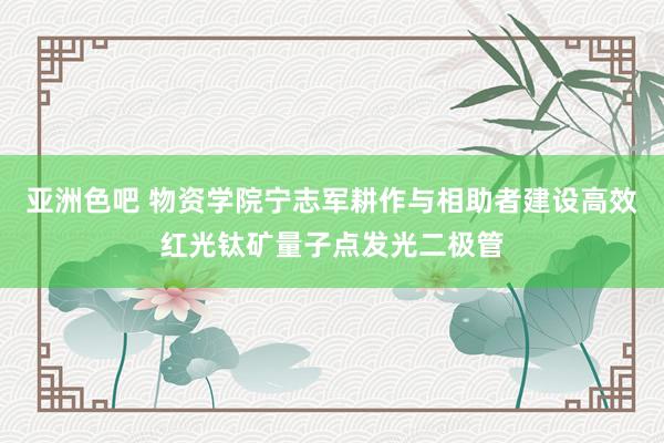 亚洲色吧 物资学院宁志军耕作与相助者建设高效红光钛矿量子点发光二极管