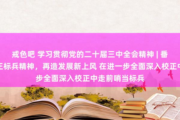 戒色吧 学习贯彻党的二十届三中全会精神 | 番禺区：明白校正标兵精神，再造发展新上风 在进一步全面深入校正中走前哨当标兵