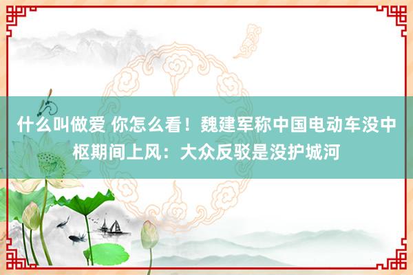 什么叫做爱 你怎么看！魏建军称中国电动车没中枢期间上风：大众反驳是没护城河