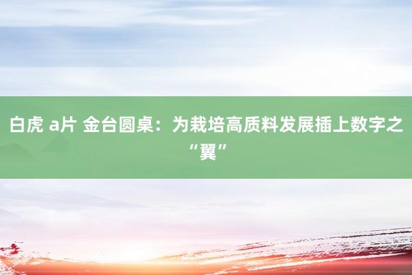 白虎 a片 金台圆桌：为栽培高质料发展插上数字之“翼”