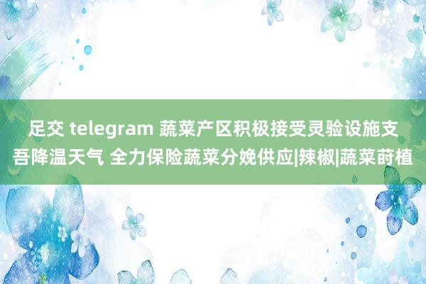 足交 telegram 蔬菜产区积极接受灵验设施支吾降温天气 全力保险蔬菜分娩供应|辣椒|蔬菜莳植