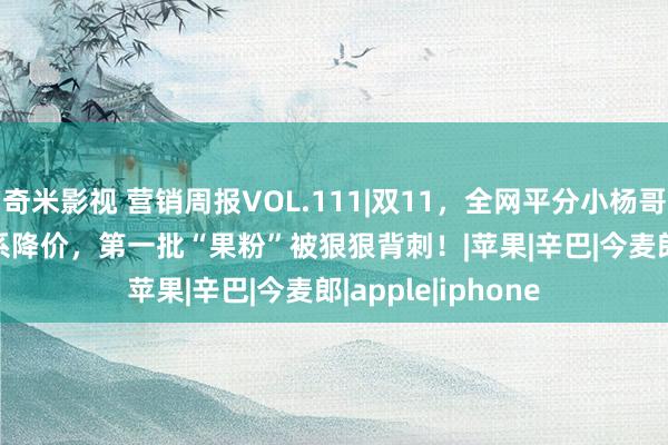 奇米影视 营销周报VOL.111|双11，全网平分小杨哥；iPhone16全系降价，第一批“果粉”被狠狠背刺！|苹果|辛巴|今麦郎|apple|iphone