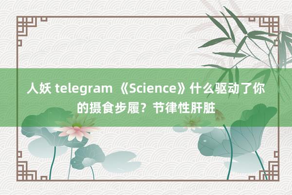 人妖 telegram 《Science》什么驱动了你的摄食步履？节律性肝脏