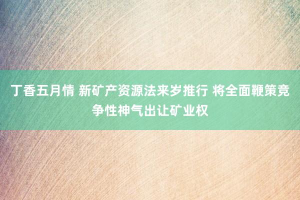 丁香五月情 新矿产资源法来岁推行 将全面鞭策竞争性神气出让矿业权