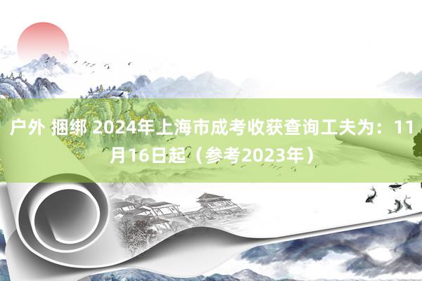 户外 捆绑 2024年上海市成考收获查询工夫为：11月16日起（参考2023年）