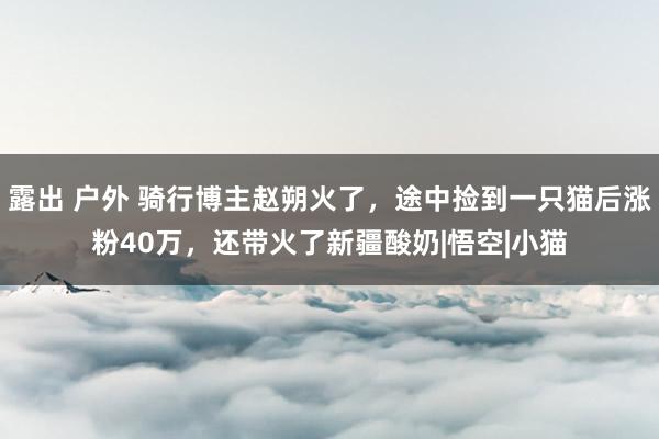 露出 户外 骑行博主赵朔火了，途中捡到一只猫后涨粉40万，还带火了新疆酸奶|悟空|小猫