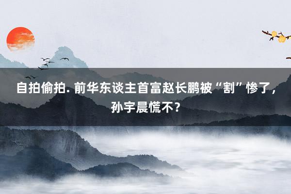 自拍偷拍. 前华东谈主首富赵长鹏被“割”惨了，孙宇晨慌不？