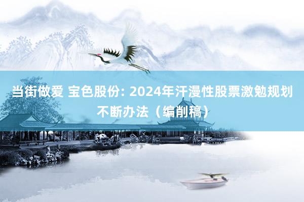 当街做爱 宝色股份: 2024年汗漫性股票激勉规划不断办法（编削稿）